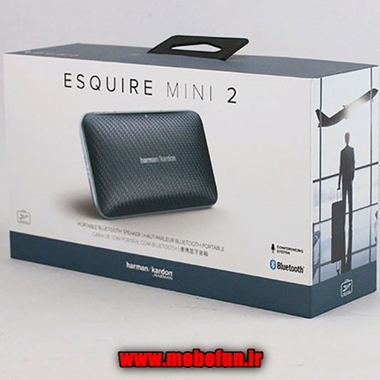 harman kardon esquire 2 mini